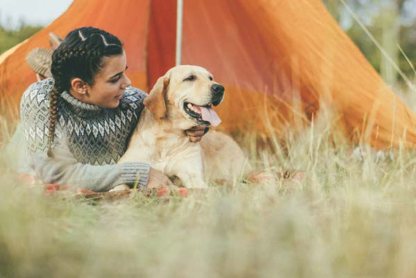 Kamperen met je hond